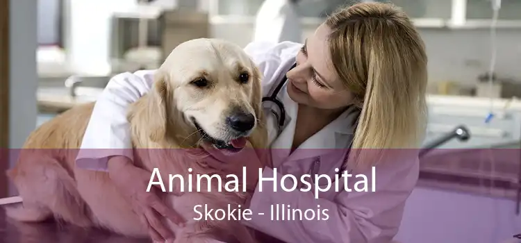 Animal Hospital Skokie - Illinois