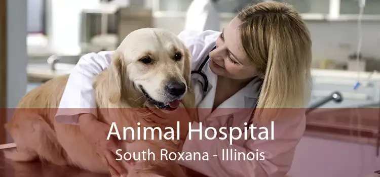 Animal Hospital South Roxana - Illinois