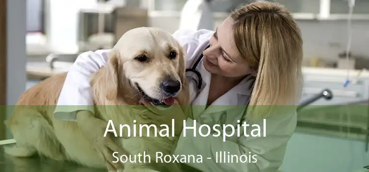 Animal Hospital South Roxana - Illinois