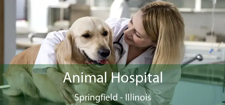 Animal Hospital Springfield - Illinois