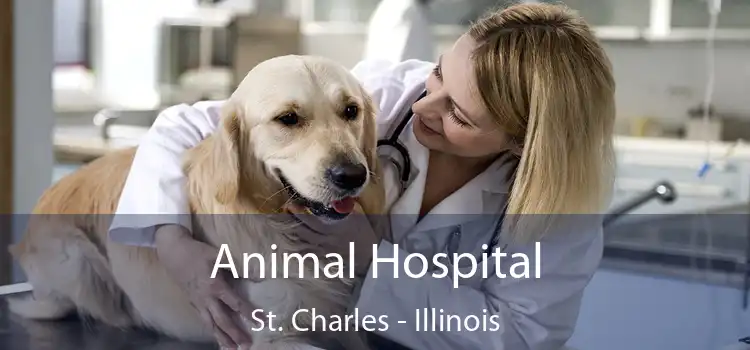 Animal Hospital St. Charles - Illinois