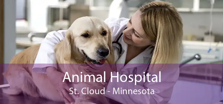 Animal Hospital St. Cloud - Small, Affordable, And Emergency Animal Hospital