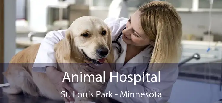 Animal Hospital St. Louis Park - Minnesota