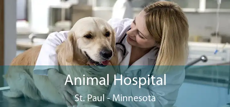 Animal Hospital St. Paul - Minnesota