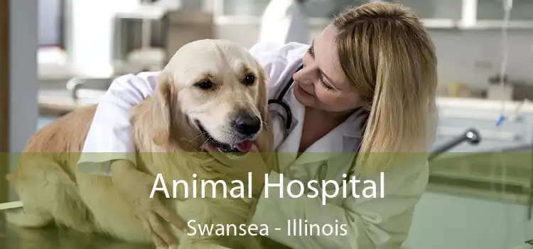 Animal Hospital Swansea - Illinois