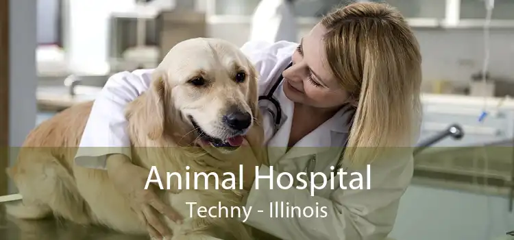 Animal Hospital Techny - Illinois