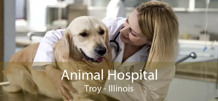 Animal Hospital Troy - Illinois