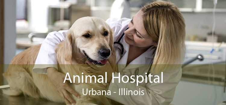 Animal Hospital Urbana - Illinois