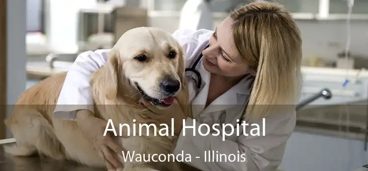 Animal Hospital Wauconda - Illinois