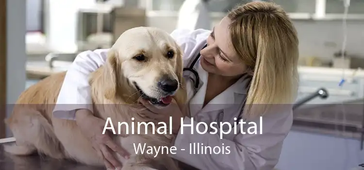 Animal Hospital Wayne - Illinois