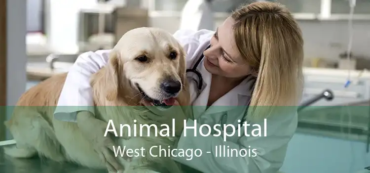 Animal Hospital West Chicago - Illinois