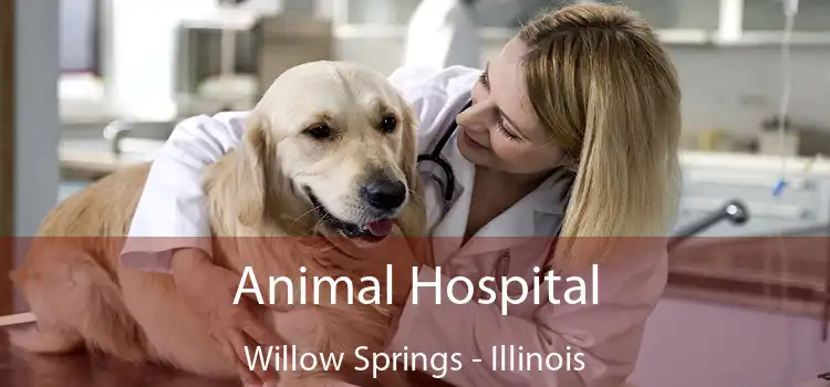 Animal Hospital Willow Springs - Illinois