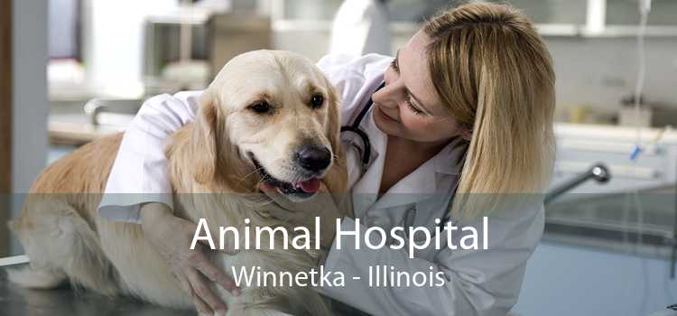 Animal Hospital Winnetka - Illinois