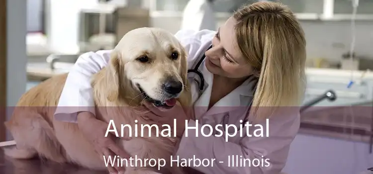 Animal Hospital Winthrop Harbor - Illinois