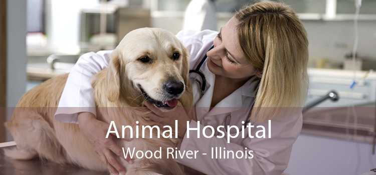 Animal Hospital Wood River - Illinois