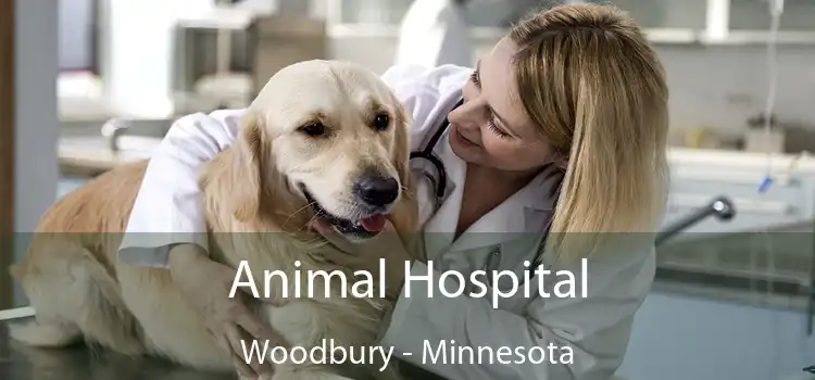 Animal Hospital Woodbury - Minnesota