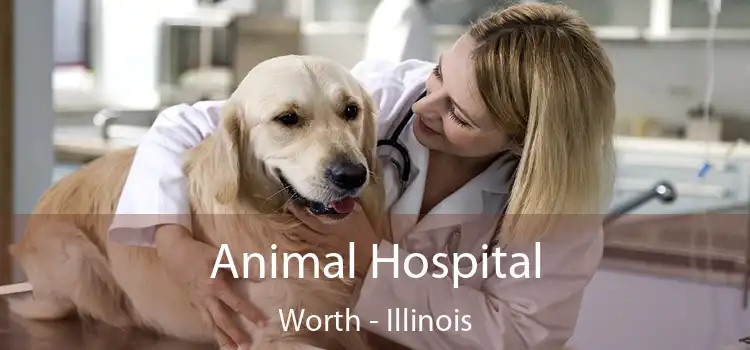 Animal Hospital Worth - Illinois