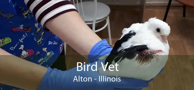 Bird Vet Alton - Illinois