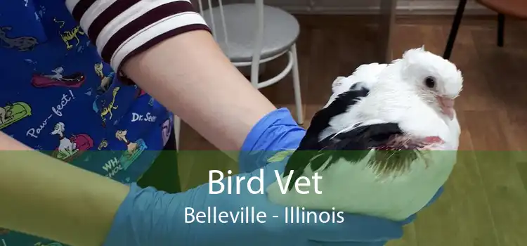 Bird Vet Belleville - Emergency Exotic Avian Vet Near Me