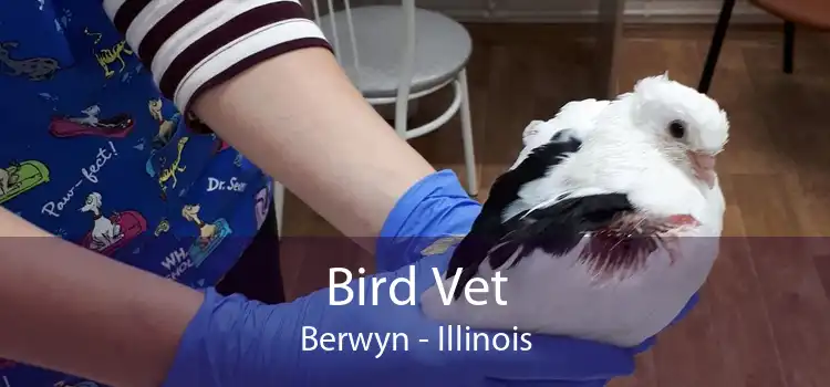 Bird Vet Berwyn - Illinois