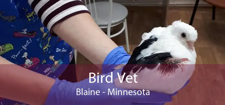 Bird Vet Blaine - Minnesota
