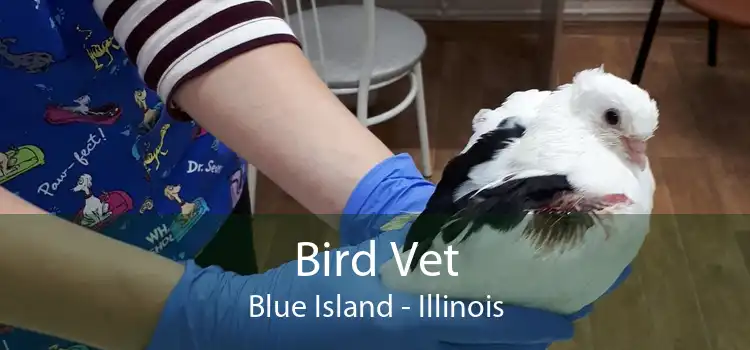 Bird Vet Blue Island - Illinois