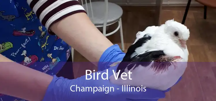 Bird Vet Champaign - Illinois
