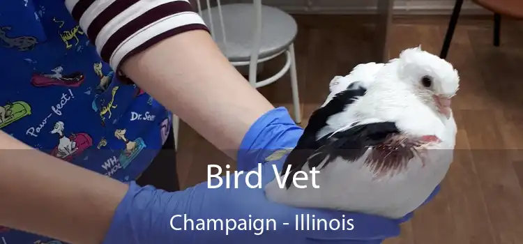 Bird Vet Champaign - Illinois