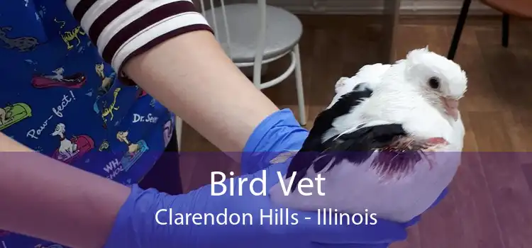 Bird Vet Clarendon Hills - Illinois