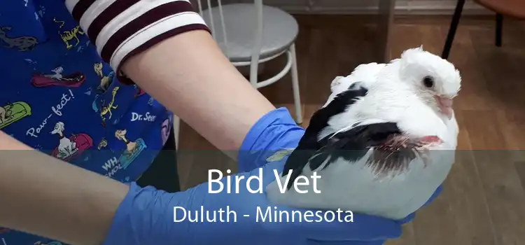 Bird Vet Duluth - Minnesota