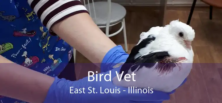 Bird Vet East St. Louis - Illinois