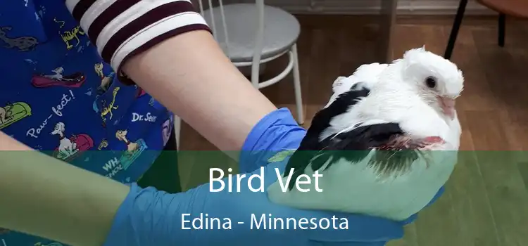 Bird Vet Edina - Minnesota