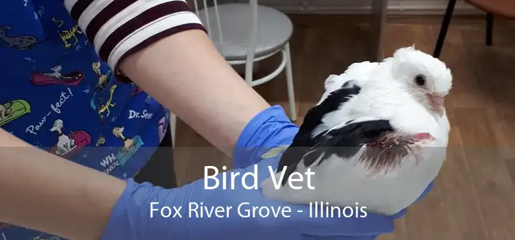Bird Vet Fox River Grove - Illinois