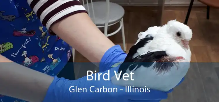 Bird Vet Glen Carbon - Illinois