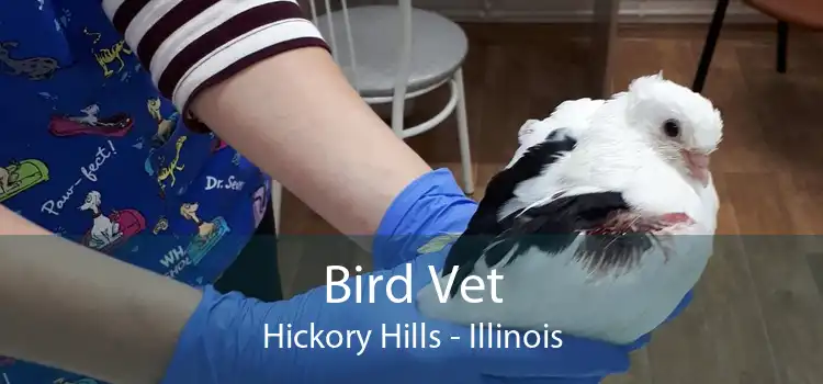 Bird Vet Hickory Hills - Illinois