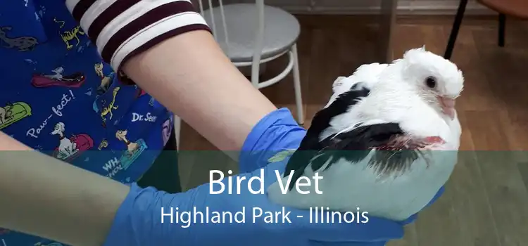 Bird Vet Highland Park - Illinois