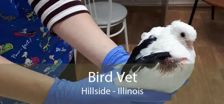 Bird Vet Hillside - Illinois