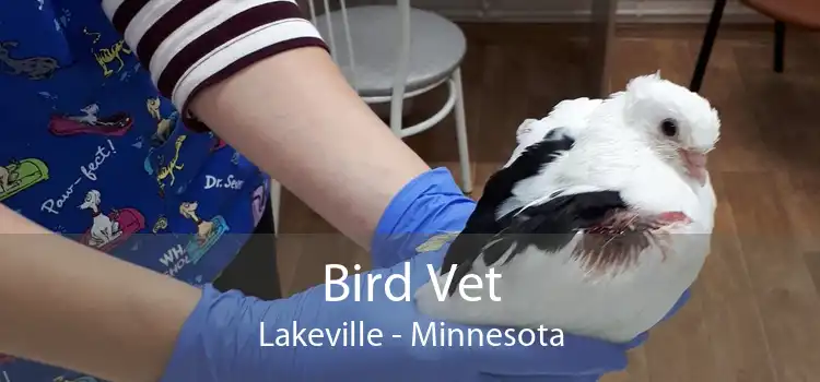 Bird Vet Lakeville - Minnesota