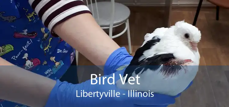 Bird Vet Libertyville - Illinois
