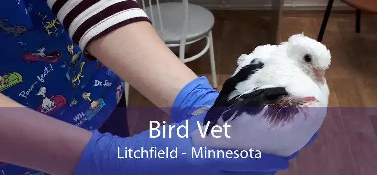 Bird Vet Litchfield - Minnesota
