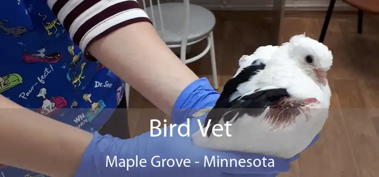 Bird Vet Maple Grove - Minnesota