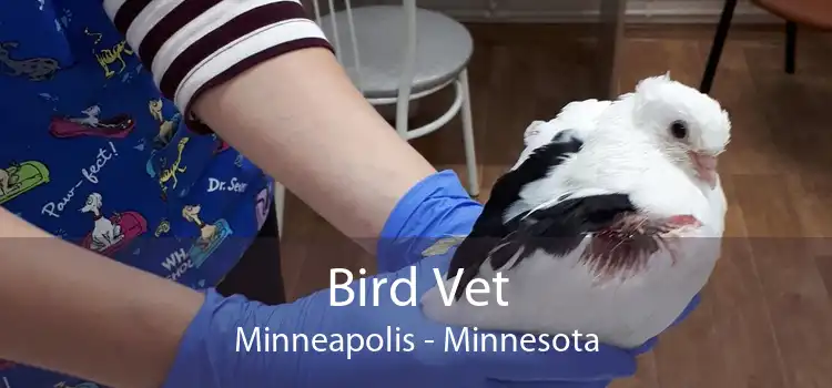 Bird Vet Minneapolis - Minnesota