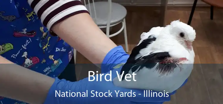 Bird Vet National Stock Yards - Illinois