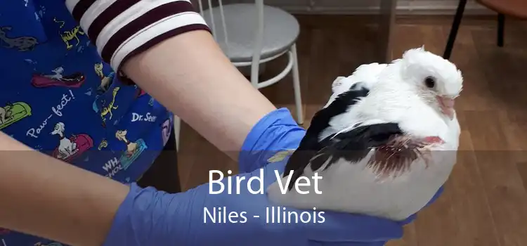 Bird Vet Niles - Illinois