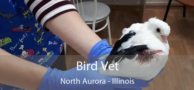 Bird Vet North Aurora - Illinois