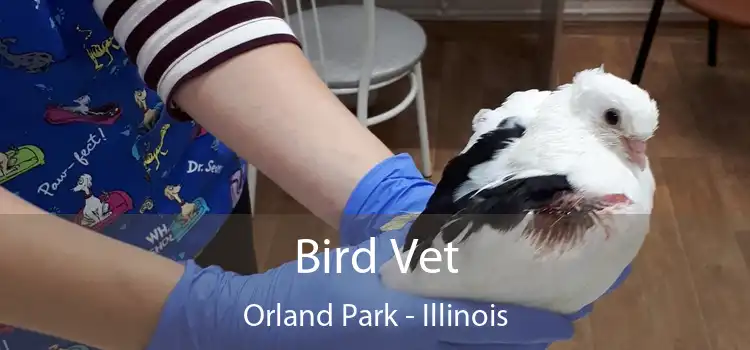 Bird Vet Orland Park - Illinois