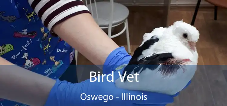 Bird Vet Oswego - Illinois
