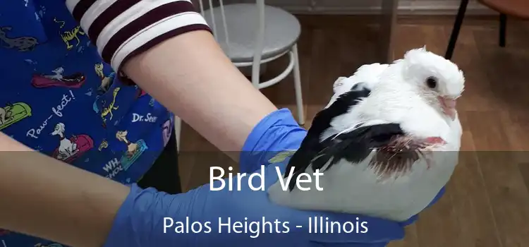 Bird Vet Palos Heights - Illinois
