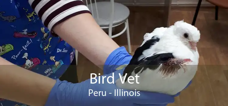 Bird Vet Peru - Illinois