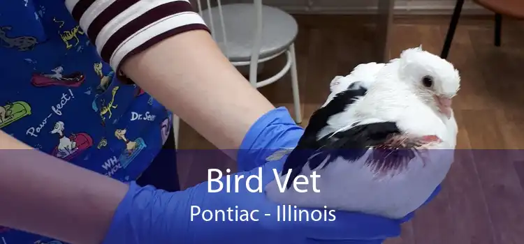 Bird Vet Pontiac - Illinois